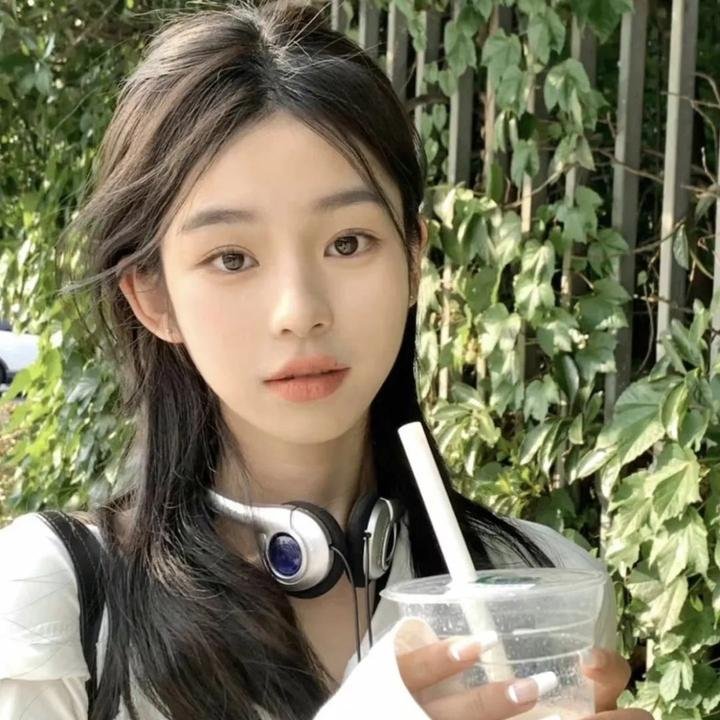 拯救林肯